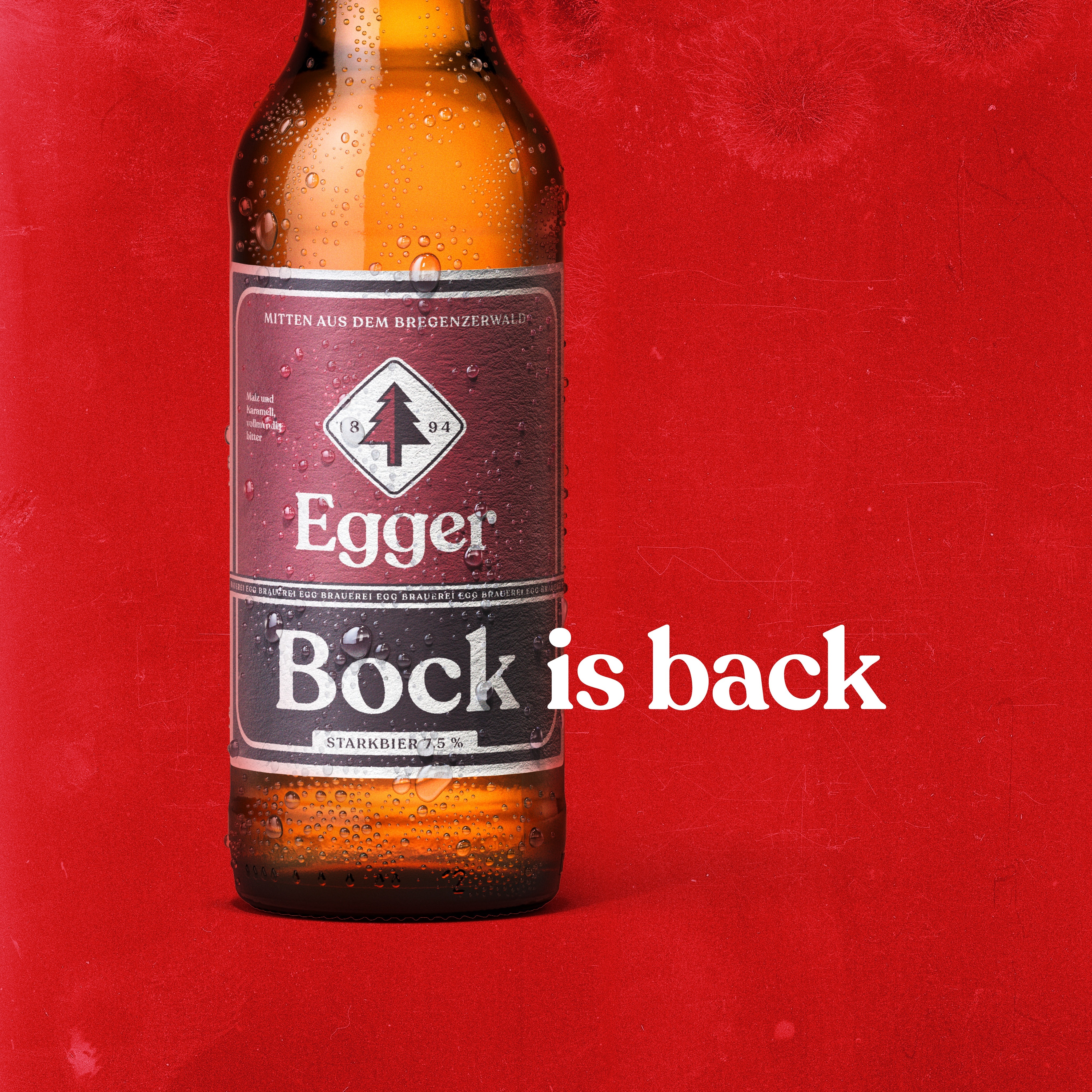 Egger Bier auf Instagram